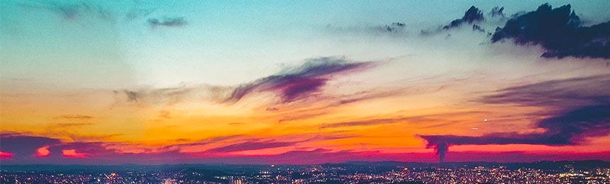 保山茶虫网_保山品茶